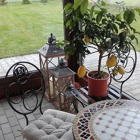 Leo Vandrerhjem Poznań